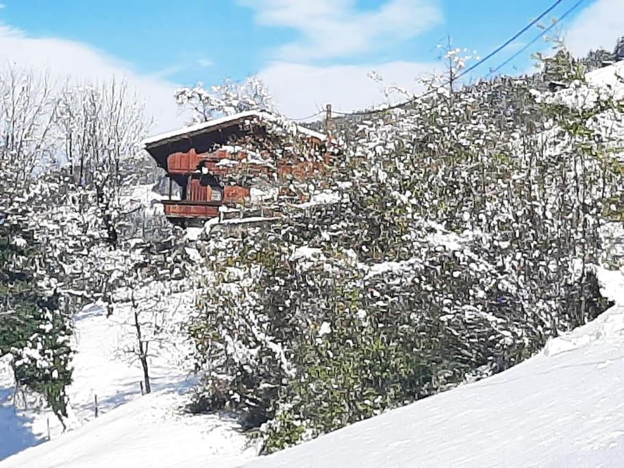Mountain Chalet マイヤーホーフェン エクステリア 写真